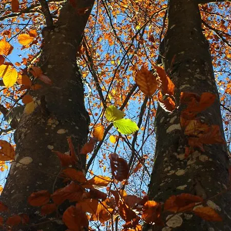 Bed & Breakfast A La Grange D'en 3*