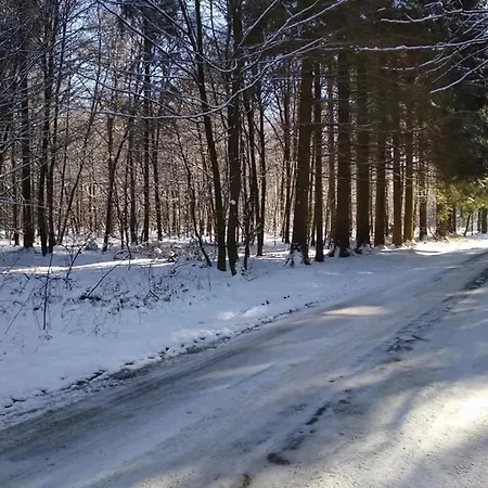 Bed & Breakfast A La Grange D'en Bras-Haut