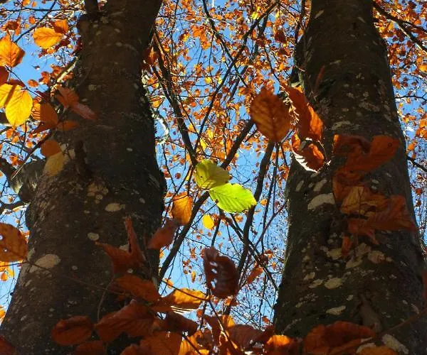 Bed & Breakfast A La Grange D'en 3*